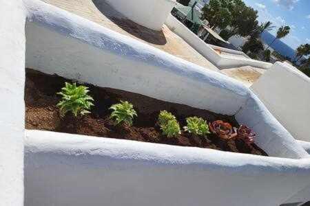 Fantastico Apartamento Con Terraza Y Vistas Al Mar Costa Teguise Exteriör bild